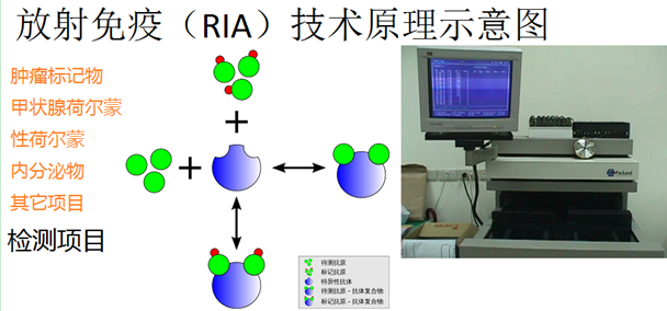 C:\Documents and Settings\Administrator\桌面\1.jpg